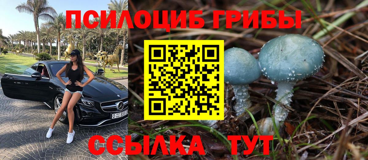Кирово-Чепецк  Галлюциногенные грибы мухоморы  Вход с VPN 