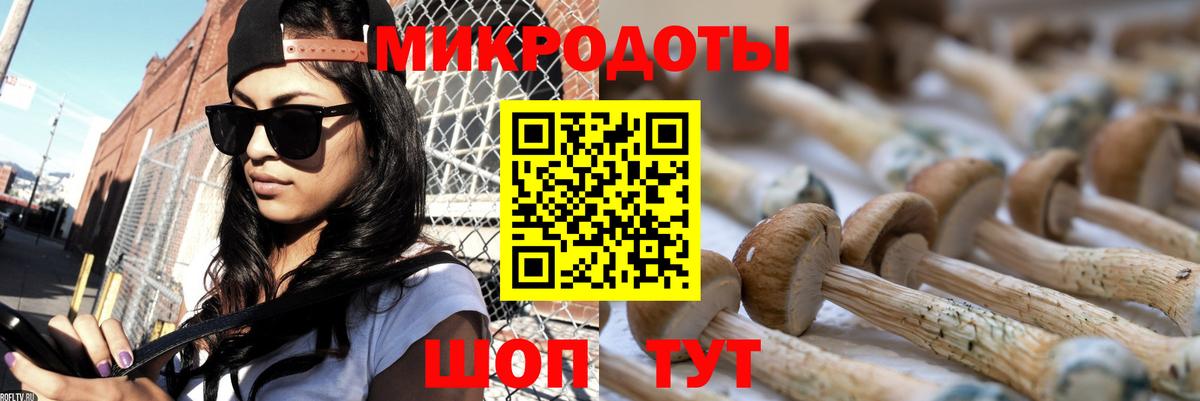 Псилоцибиновые грибы Cubensis Кирово-Чепецк