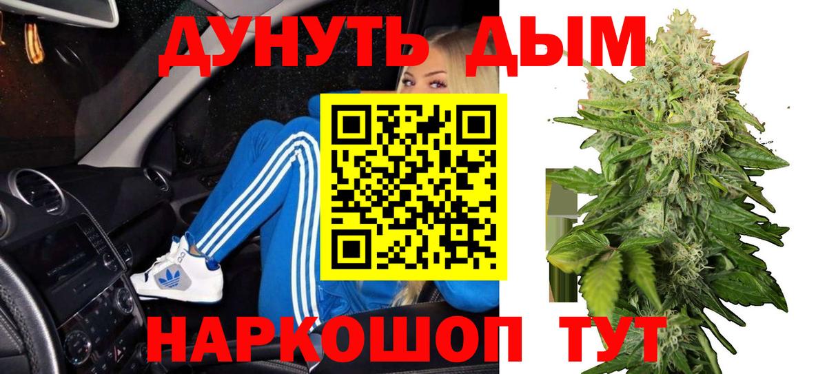 Бошки Шишки план  Канабис планчик  Кирово-Чепецк  Вход с VPN  Каннабис план  Шишки марихуана тримм 